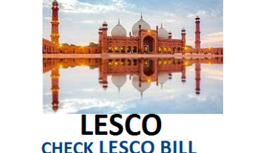 Lesco Duplicate Bill